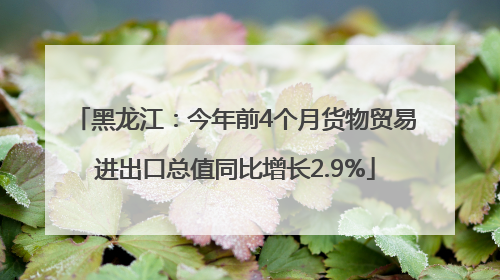 黑龙江：今年前4个月货物贸易进出口总值同比增长2.9%